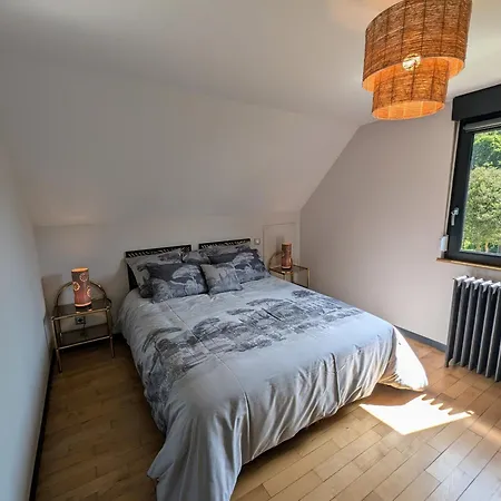 Moderne Avec Jardin Clos, 4 Chambres, Et Proche Stations De - - Fr-1-589-652 Saulcy-sur-Meurthe